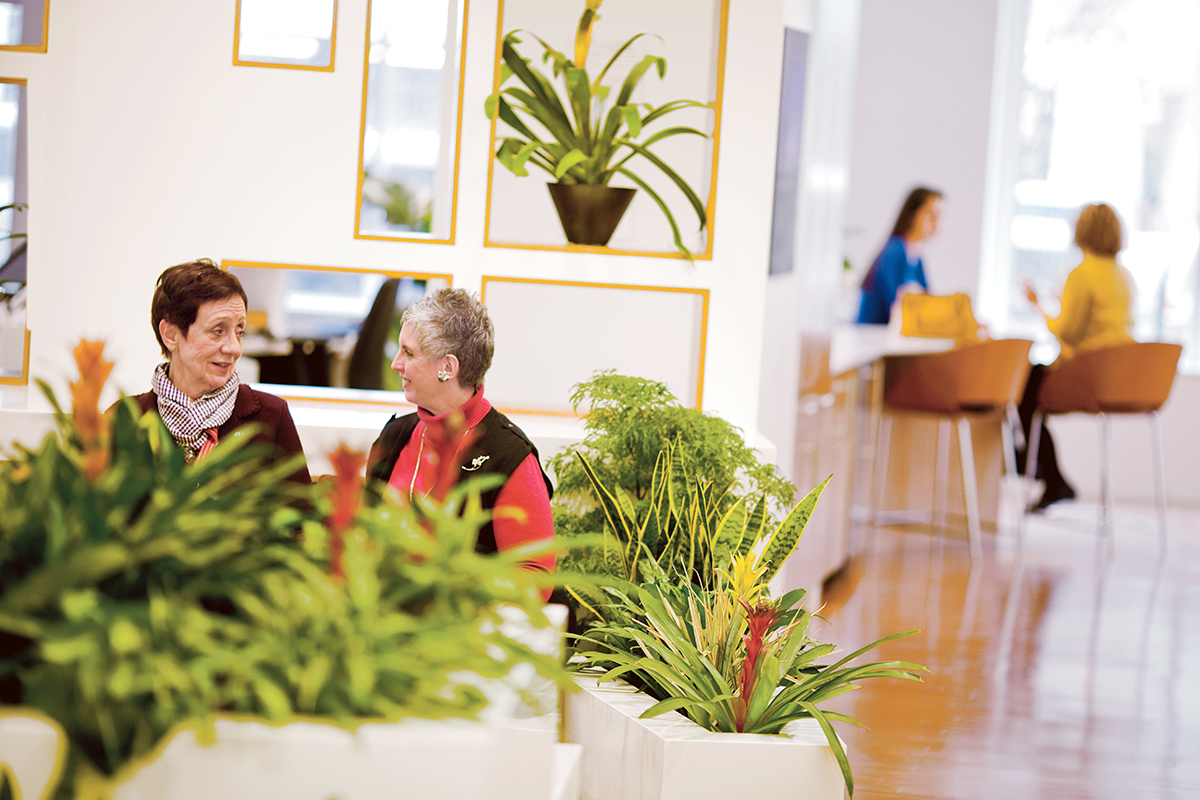 Indoor garden at MSK Brooklyn Infusion Center