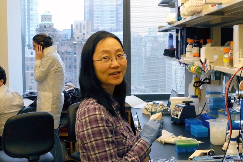 Kiki Yu Liu, PhD