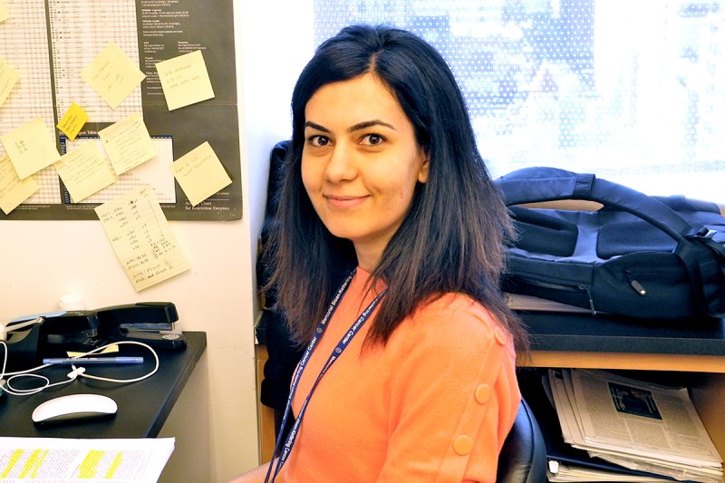 Ozlem Mert, PhD