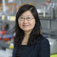 Liang Deng, MD, PhD