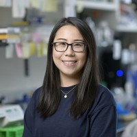 Jingwen (Zhou) Araki