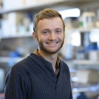 Stefan Torborg