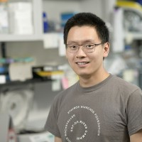 Xin Cai