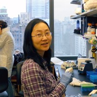 Kiki Yu Liu, PhD