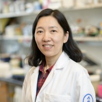 Sha Tian, MS