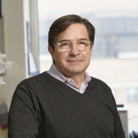 John Petrini