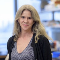 Anne Trumble-Koncelik