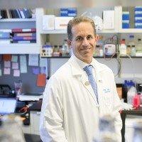 Pictured: Dr. Ross Levine