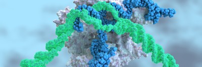 using the genetics and genomics of cancer to create new treatment options