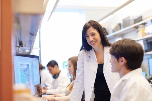 Computational oncology experts